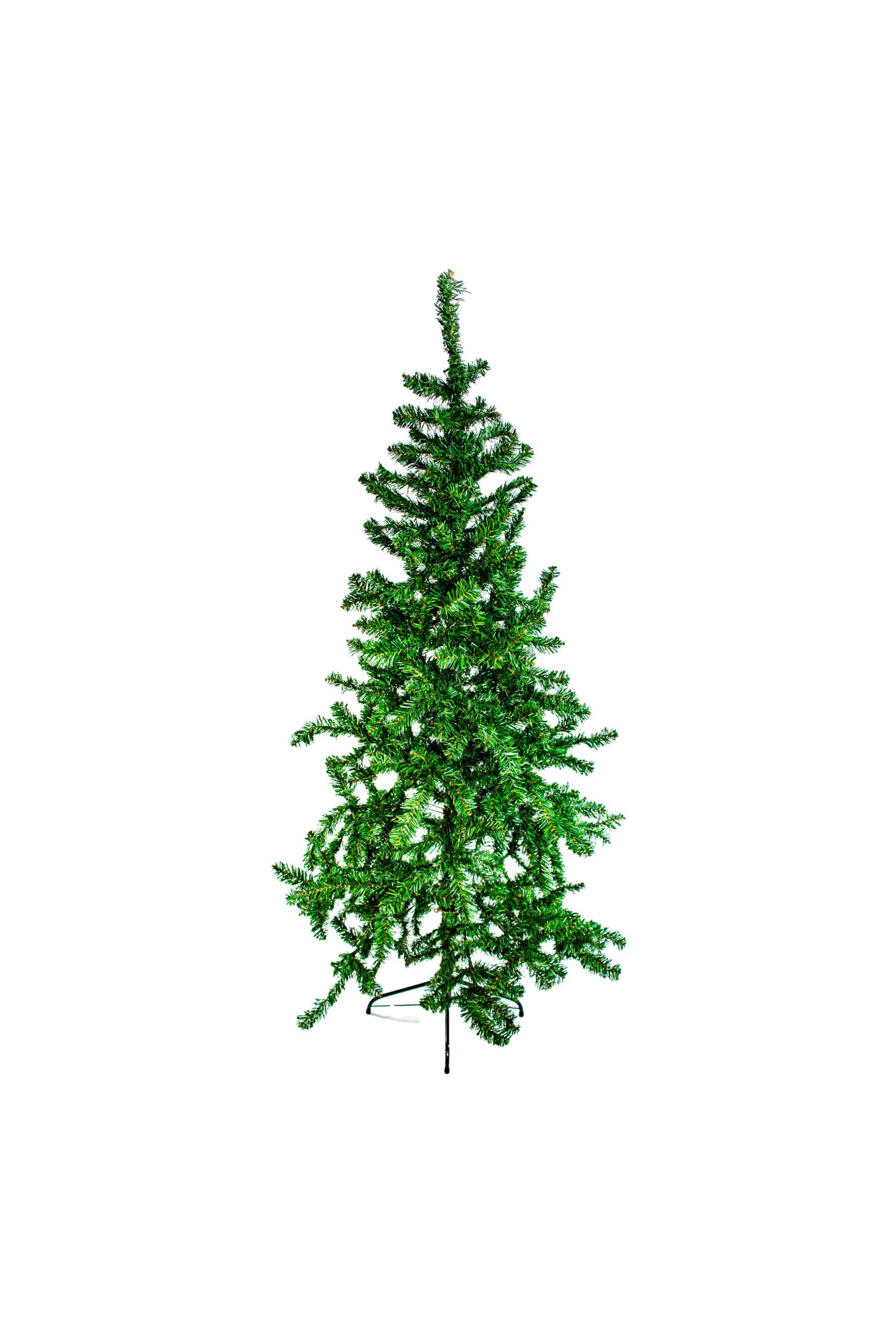Tannenbaum 170 cm groß