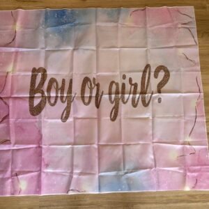 Banner "Boy or Girl?" Blau/Rosa