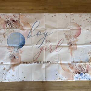 Banner "Boy or Girl?" Braun