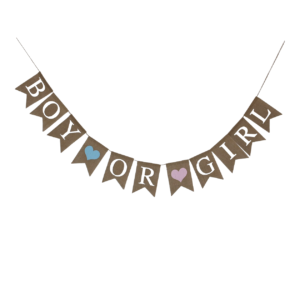 Wimpelkette "Boy or Girl"