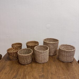 verschiedene Blumen Töpfe Rattan